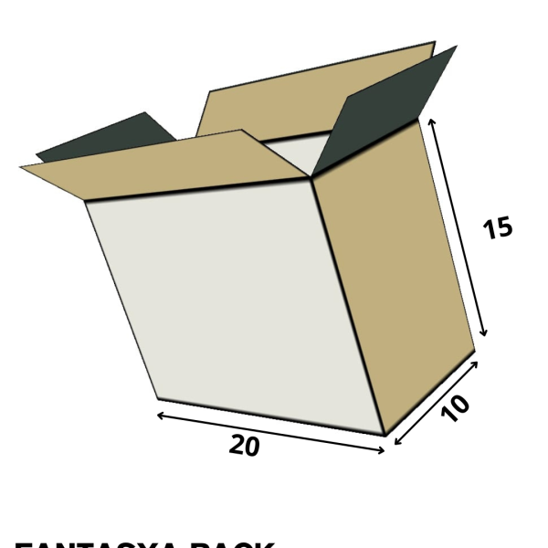 boite carton ouverte 20cm 10cm 15cm