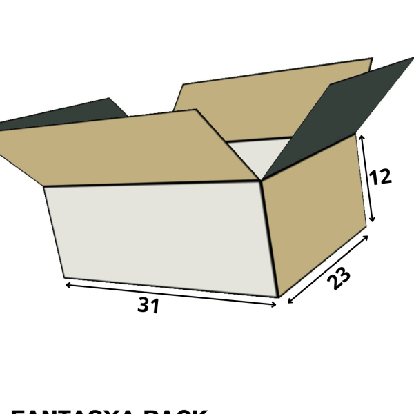 boite carton ouverte 31cm 23cm 12cm