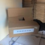 boite carton ouverte 31cm 23cm 12cm